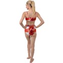 Red Ribbon Bow On White Background Tied Up Two Piece Swimsuit View2