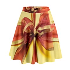 Ribbon Bow High Waist Skirt by artworkshop