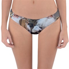 Santa Claus Reversible Hipster Bikini Bottoms by artworkshop