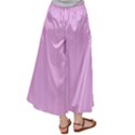 Stripes Satin Palazzo Pants View2