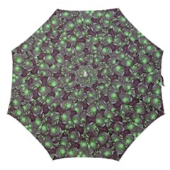 Man Butterfly Drawing Motif Pattern Straight Umbrellas