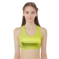 Background-texture-yellow Sports Bra With Border