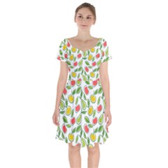 Fruit Fruits Food Illustration Background Pattern Short Sleeve Bardot Dress by Ravend