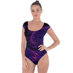 Fractal Mandelbrot Abstract Background Pattern Short Sleeve Leotard  by danenraven