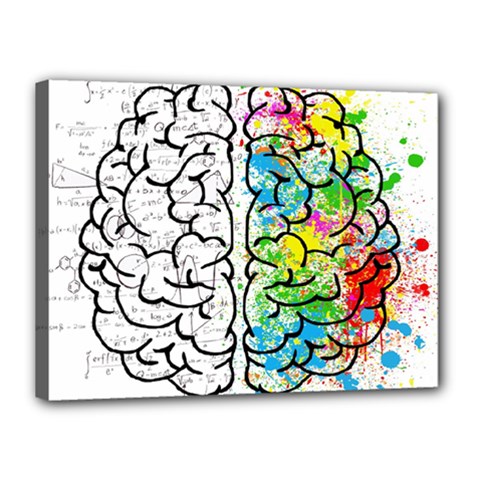 Brain Mind Psychology Idea Drawing Canvas 16  X 12  (stretched) by Wegoenart