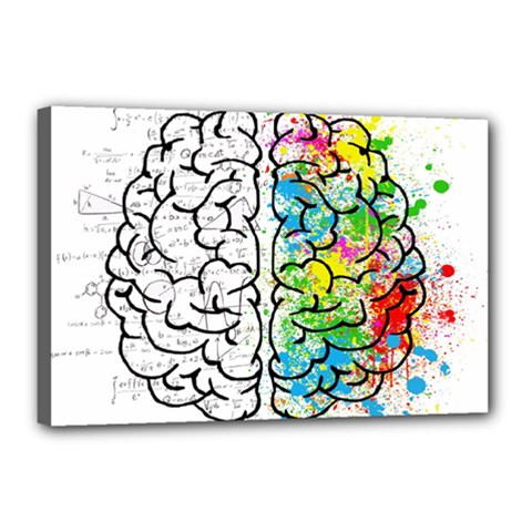 Brain Mind Psychology Idea Drawing Canvas 18  X 12  (stretched) by Wegoenart