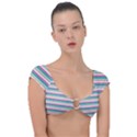 Stripes Cap Sleeve Ring Bikini Top View1