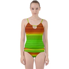 Orange And Green Blur Abstract Print Cut Out Top Tankini Set by dflcprintsclothing