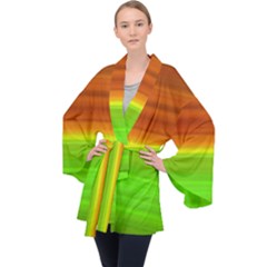 Orange And Green Blur Abstract Print Long Sleeve Velvet Kimono  by dflcprintsclothing