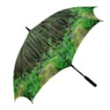 Forest Woods Nature Landscape Tree Golf Umbrellas View2