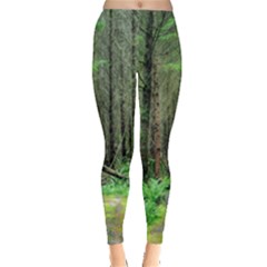 Forest Woods Nature Landscape Tree Leggings  by Celenk