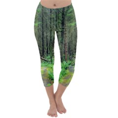 Forest Woods Nature Landscape Tree Capri Winter Leggings 