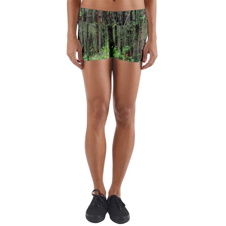 Forest Woods Nature Landscape Tree Yoga Shorts