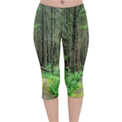 Forest Woods Nature Landscape Tree Velvet Capri Leggings  by Celenk