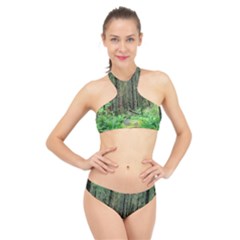 Forest Woods Nature Landscape Tree High Neck Bikini Set by Celenk