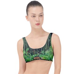 Forest Woods Nature Landscape Tree The Little Details Bikini Top by Celenk