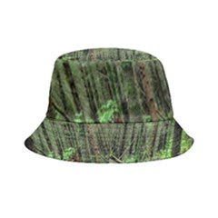 Forest Woods Nature Landscape Tree Inside Out Bucket Hat by Celenk