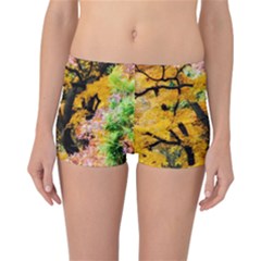 Japan Garden Color Tree Zen Reversible Boyleg Bikini Bottoms by Wegoenart