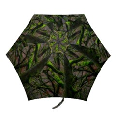 Tree Moss Forest Bark Wood Trunk Mini Folding Umbrellas by Wegoenart