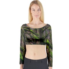 Tree Moss Forest Bark Wood Trunk Long Sleeve Crop Top by Wegoenart