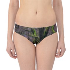 Tree Moss Forest Bark Wood Trunk Hipster Bikini Bottoms by Wegoenart