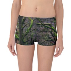 Tree Moss Forest Bark Wood Trunk Reversible Boyleg Bikini Bottoms by Wegoenart