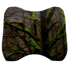 Tree Moss Forest Bark Wood Trunk Velour Head Support Cushion by Wegoenart