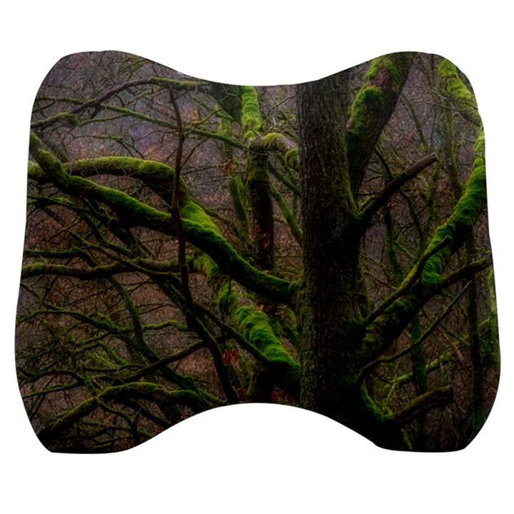 Tree Moss Forest Bark Wood Trunk Velour Head Support Cushion