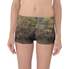 Landscape Jungle Reflection Nature Boyleg Bikini Bottoms by Wegoenart