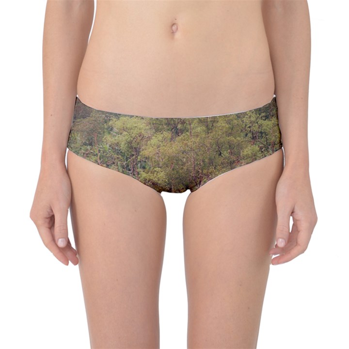 Landscape Jungle Reflection Nature Classic Bikini Bottoms