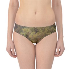 Landscape Jungle Reflection Nature Hipster Bikini Bottoms by Wegoenart