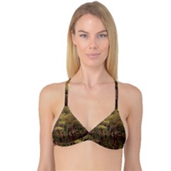 Landscape Jungle Reflection Nature Reversible Tri Bikini Top by Wegoenart