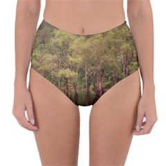 Landscape Jungle Reflection Nature Reversible High-waist Bikini Bottoms by Wegoenart