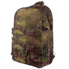 Landscape Jungle Reflection Nature Classic Backpack by Wegoenart