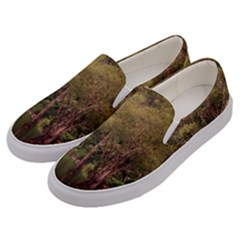 Landscape Jungle Reflection Nature Men s Canvas Slip Ons by Wegoenart