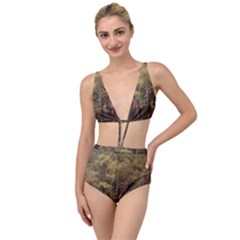 Landscape Jungle Reflection Nature Tied Up Two Piece Swimsuit by Wegoenart