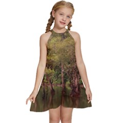 Landscape Jungle Reflection Nature Kids  Halter Collar Waist Tie Chiffon Dress by Wegoenart