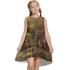 Landscape Jungle Reflection Nature Kids  Frill Swing Dress by Wegoenart