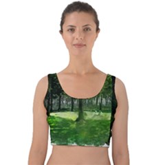 Beeches Trees Tree Lawn Forest Nature Velvet Crop Top by Wegoenart