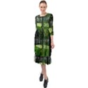 Beeches Trees Tree Lawn Forest Nature Ruffle End Midi Chiffon Dress View1