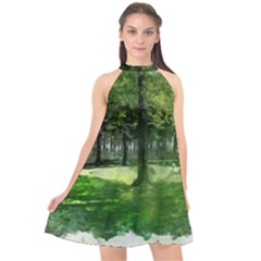 Beeches Trees Tree Lawn Forest Nature Halter Neckline Chiffon Dress  by Wegoenart