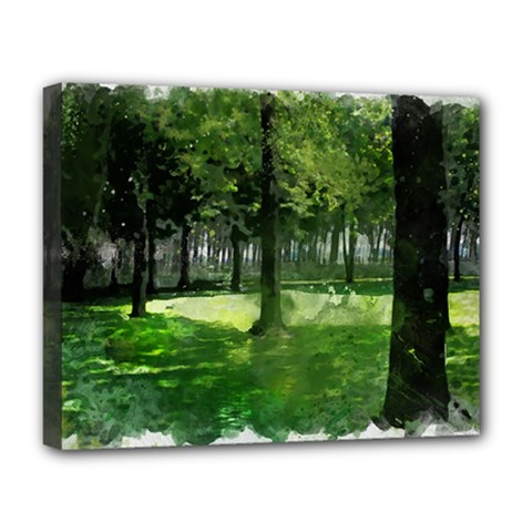 Beeches Trees Tree Lawn Forest Nature Deluxe Canvas 20  X 16  (stretched) by Wegoenart