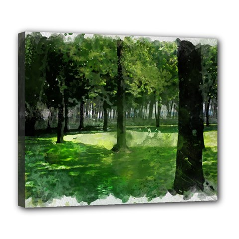 Beeches Trees Tree Lawn Forest Nature Deluxe Canvas 24  X 20  (stretched) by Wegoenart