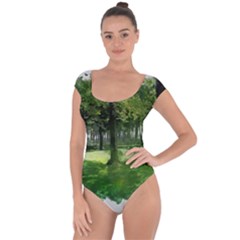 Beeches Trees Tree Lawn Forest Nature Short Sleeve Leotard  by Wegoenart