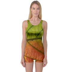 Leaf Autumn Fall Season Macro One Piece Boyleg Swimsuit by Wegoenart