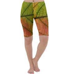 Leaf Autumn Fall Season Macro Cropped Leggings  by Wegoenart