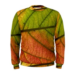 Leaf Autumn Fall Season Macro Men s Sweatshirt by Wegoenart