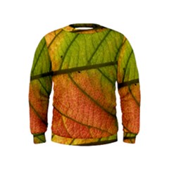 Leaf Autumn Fall Season Macro Kids  Sweatshirt by Wegoenart