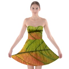 Leaf Autumn Fall Season Macro Strapless Bra Top Dress by Wegoenart