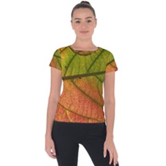 Leaf Autumn Fall Season Macro Short Sleeve Sports Top  by Wegoenart